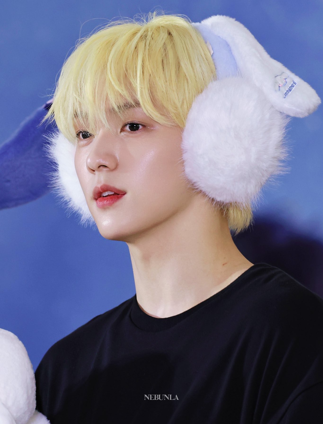 ꒰ ^- ᴥ -^ ꒱ on X: 