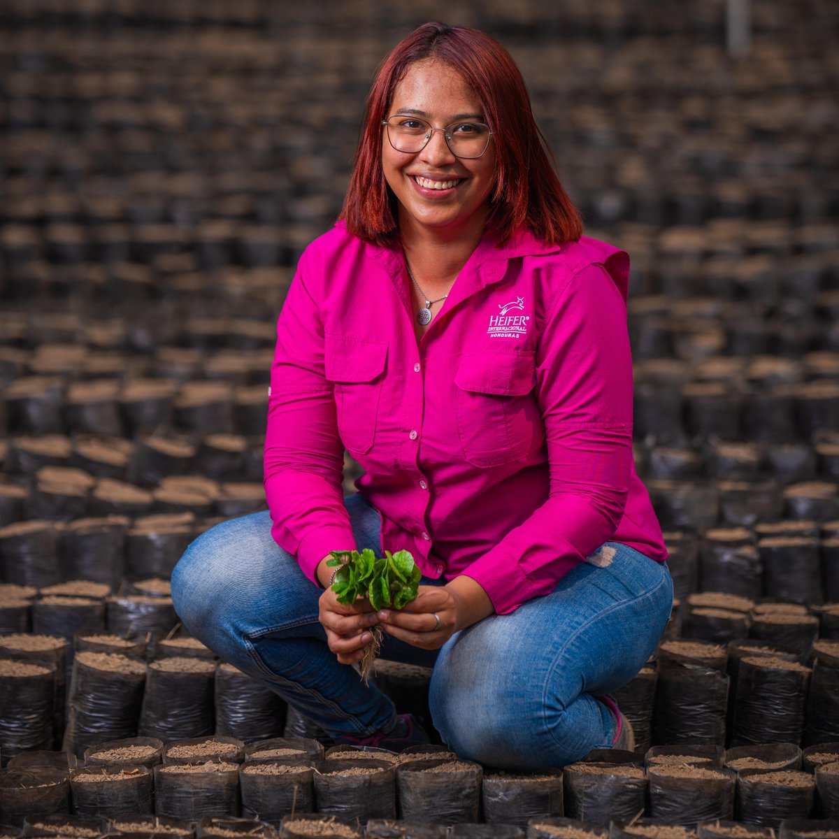 Heifer's tweet image. Heiferโs Environmental Strategy: Caring for the Earth ๐ ๐
We help smallholder farmers grow resilient, sustainable food systems that restore ecosystems and fight poverty.
Rooted in regenerative agriculture, our work supports both the planet and the people who feed it.