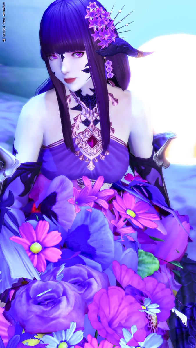 violet_HM10's tweet image. 🪸🐚.•*¨*•🫧 🧜♀️🫧 •*¨*•🐚 🪸
𝔾𝕠𝕠𝕕 𝕄𝕠𝕣𝕟𝕚𝕟𝕘💜✨
素敵なスタジオにお邪魔しましたー!
人魚姫になれたよ🧜♀️
今日も素敵な一日を✨
#おはウラ #おはメイ #本日のアウラ #アウラ #後角愛好会 #FF14
🪸🐚.•*¨*•🫧 🧜♀️🫧 •*¨*•🐚 🪸
スタジオ様
#san_studio