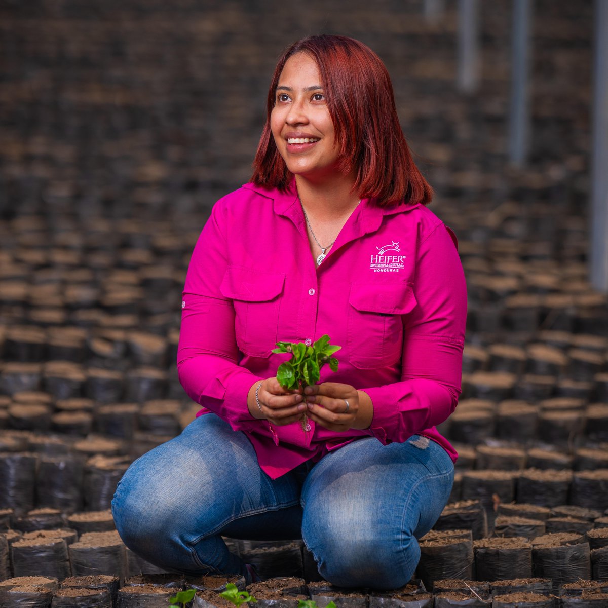 Heifer's tweet image. Heiferโs Environmental Strategy: Caring for the Earth ๐ ๐
We help smallholder farmers grow resilient, sustainable food systems that restore ecosystems and fight poverty.
Rooted in regenerative agriculture, our work supports both the planet and the people who feed it.