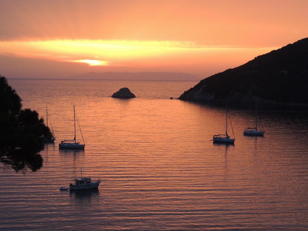 NadiaRossetti24's tweet image. Portoferraio 🧡 Elba Island
Tuscany region 🇮🇹
📷 Sunset☀️🧡