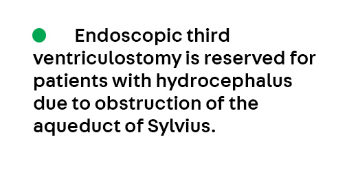 ContinuumAAN's tweet image. Key Point 4 from the article Management of Normal Pressure Hydrocephalus by Drs. Kaisorn Chaichana and Jeremy Cutsforth-Gregory, from the June Disorders of #CSF Dynamics issue, which is available to subscribers at hubs.la/Q03vR3dv0.
@JCGneuro
#Neurology #NeuroTwitter #MedEd