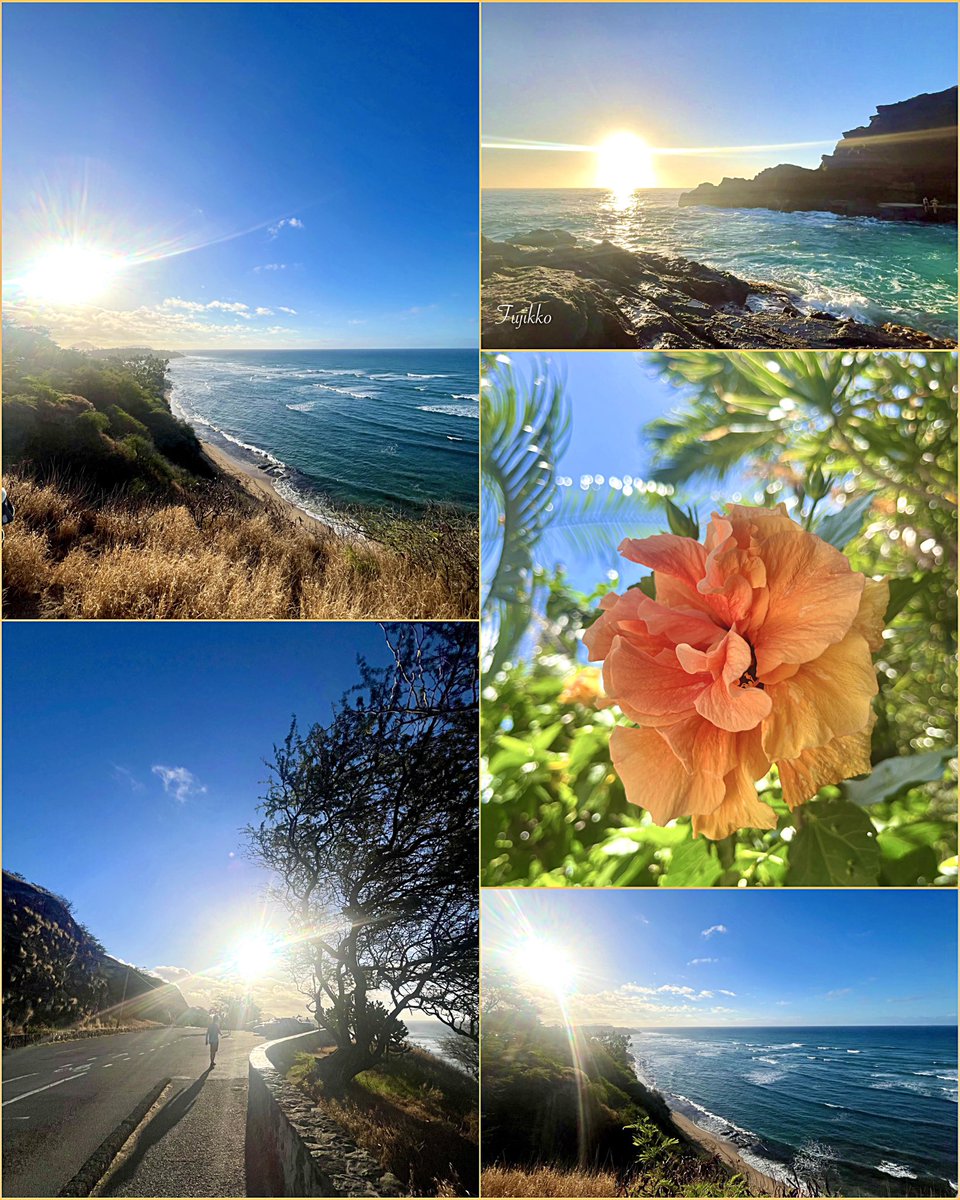 hawaiifujikko's tweet image. 🌅 Hawai’i
🎼 Robert Palmer
⋆𓈒・:* Mercy Mercy Me ♬
m.youtube.com/watch?v=RMT-oi…