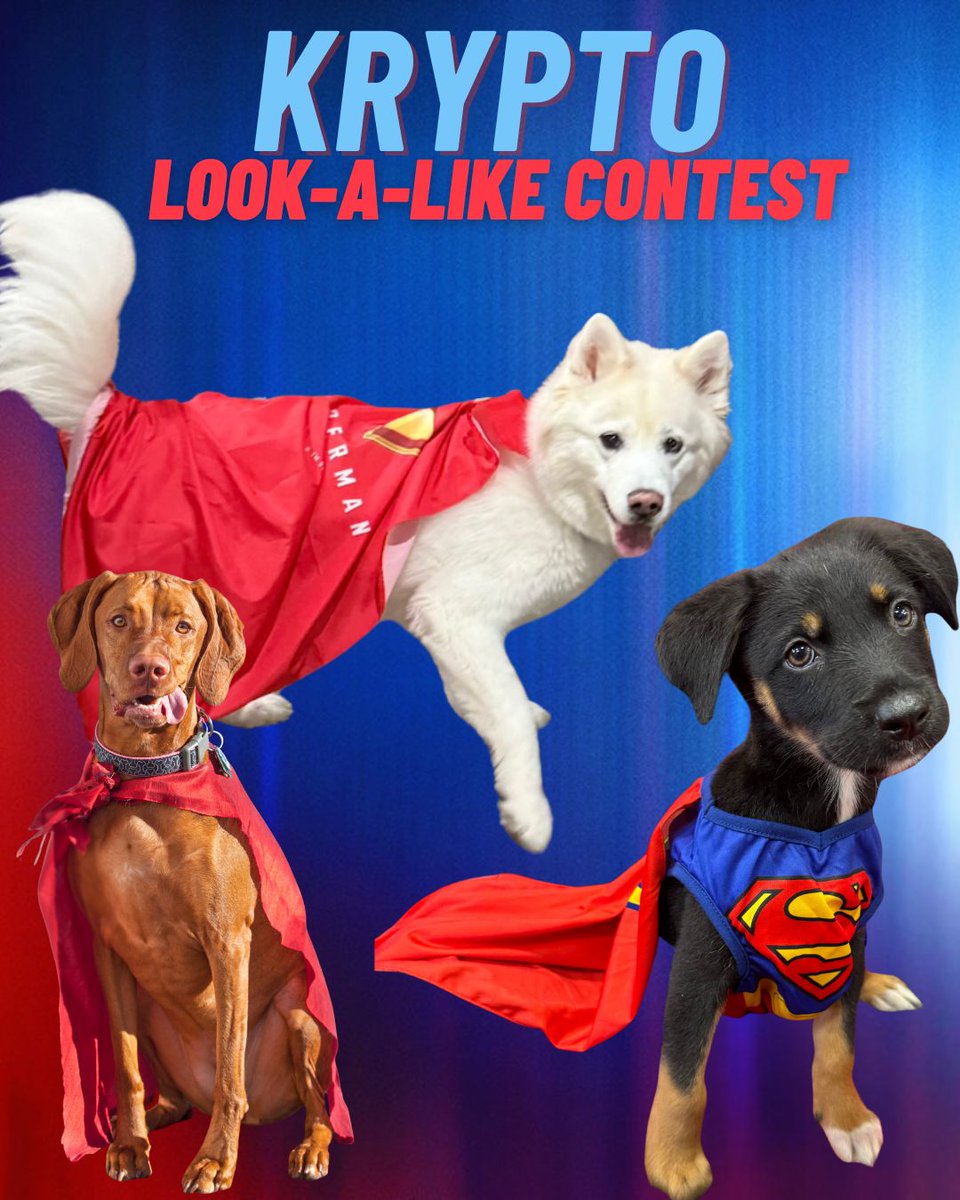 It's a bird, it's a plane, it's a Krypto look-alike contest! 🐶🐾

Enter your Superdog for a chance to win our Galaxy Krypto Look-A-Like contest. Submit a photo using #GalaxyKrypto for a chance to win tickets to Galaxy!