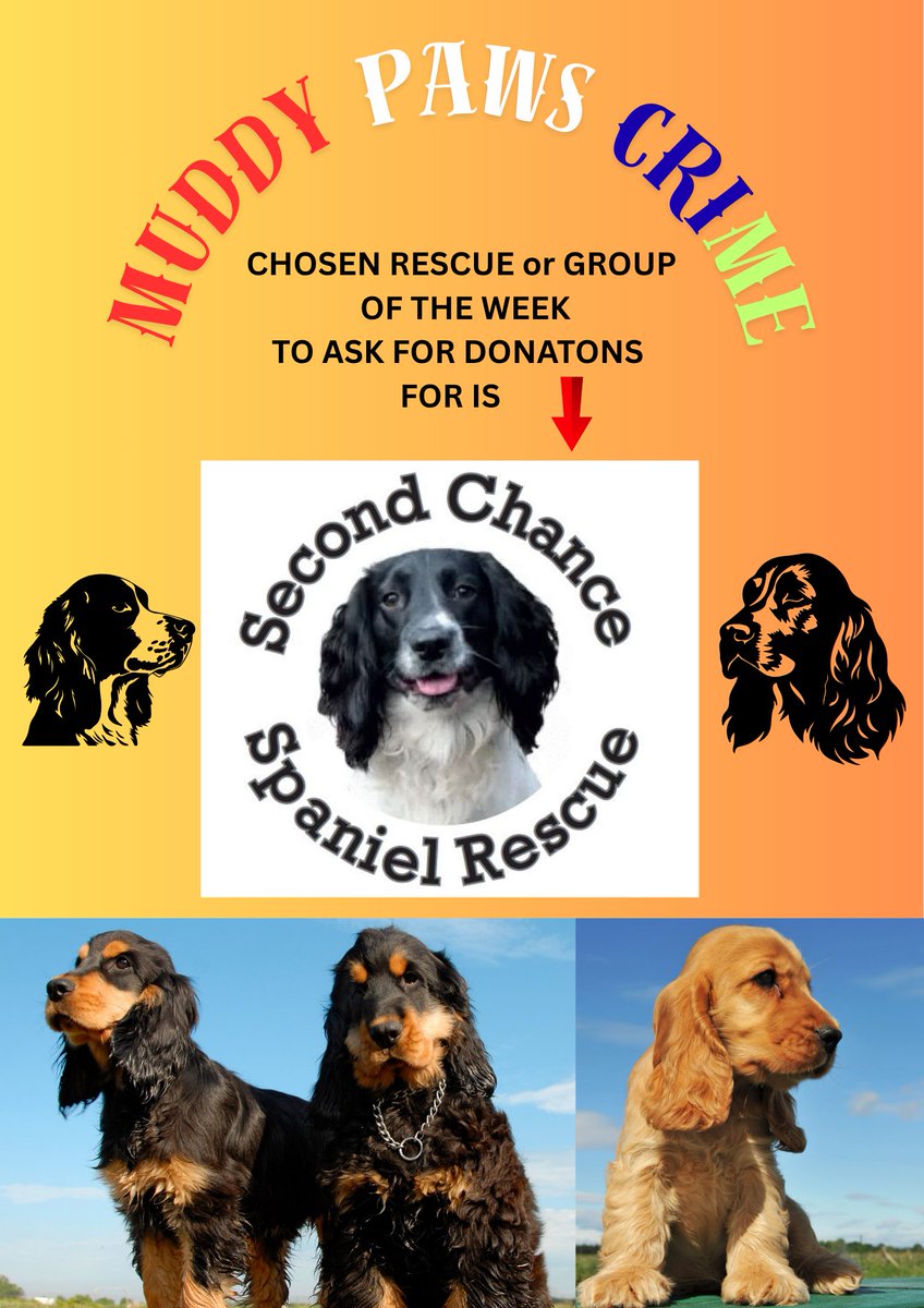 muddypawscrime's tweet image. WEEKLY WEDNESDAY DONATE IS HERE
MUDDY PAWS CRIME now WEEKLY ON A WEDNESDAY be choosing a Rescue or a Team (eg: SAR/Seized Dogs ) and we would like to ask the public to spare a pound or two for that particular Rescue or Team
NO MONIES go to us . Pls see screenshots
@rosieDoc2