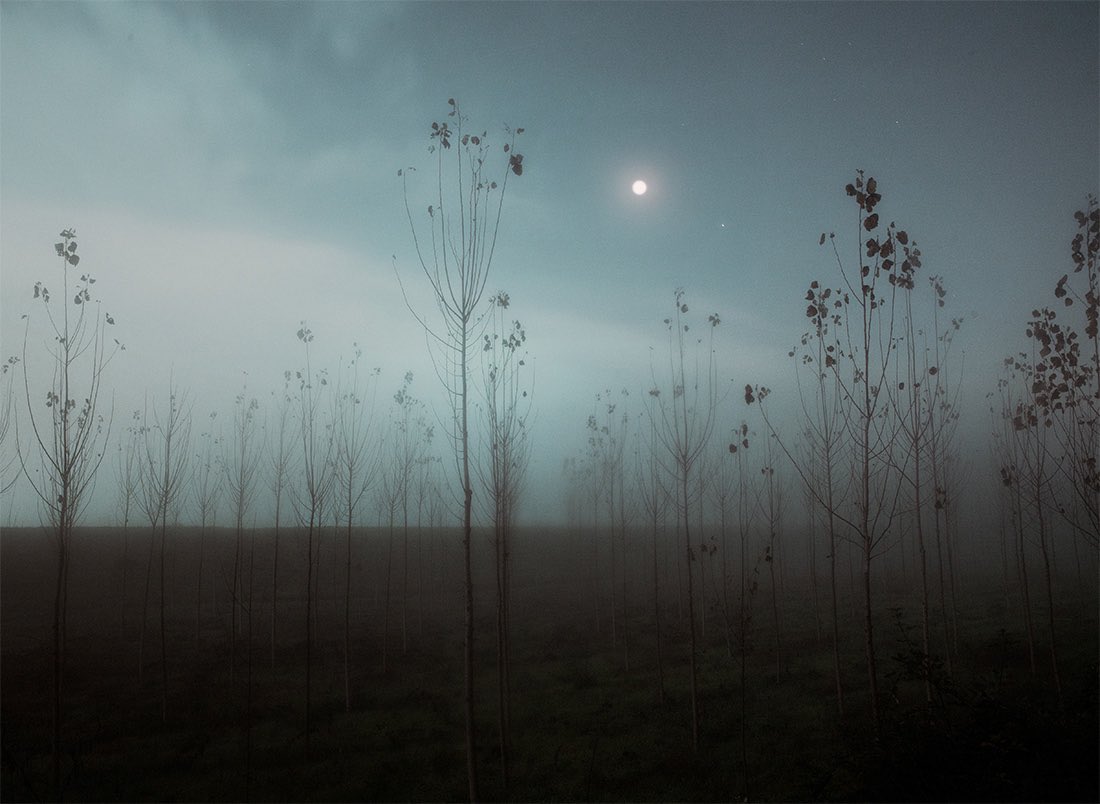 HossainNilofar's tweet image. .
“I think I will do nothing for a long time but listen,
And accrue what I hear into myself...
and let sounds contribute towards me.”
― Walt Whitman
.
Filippo Giani