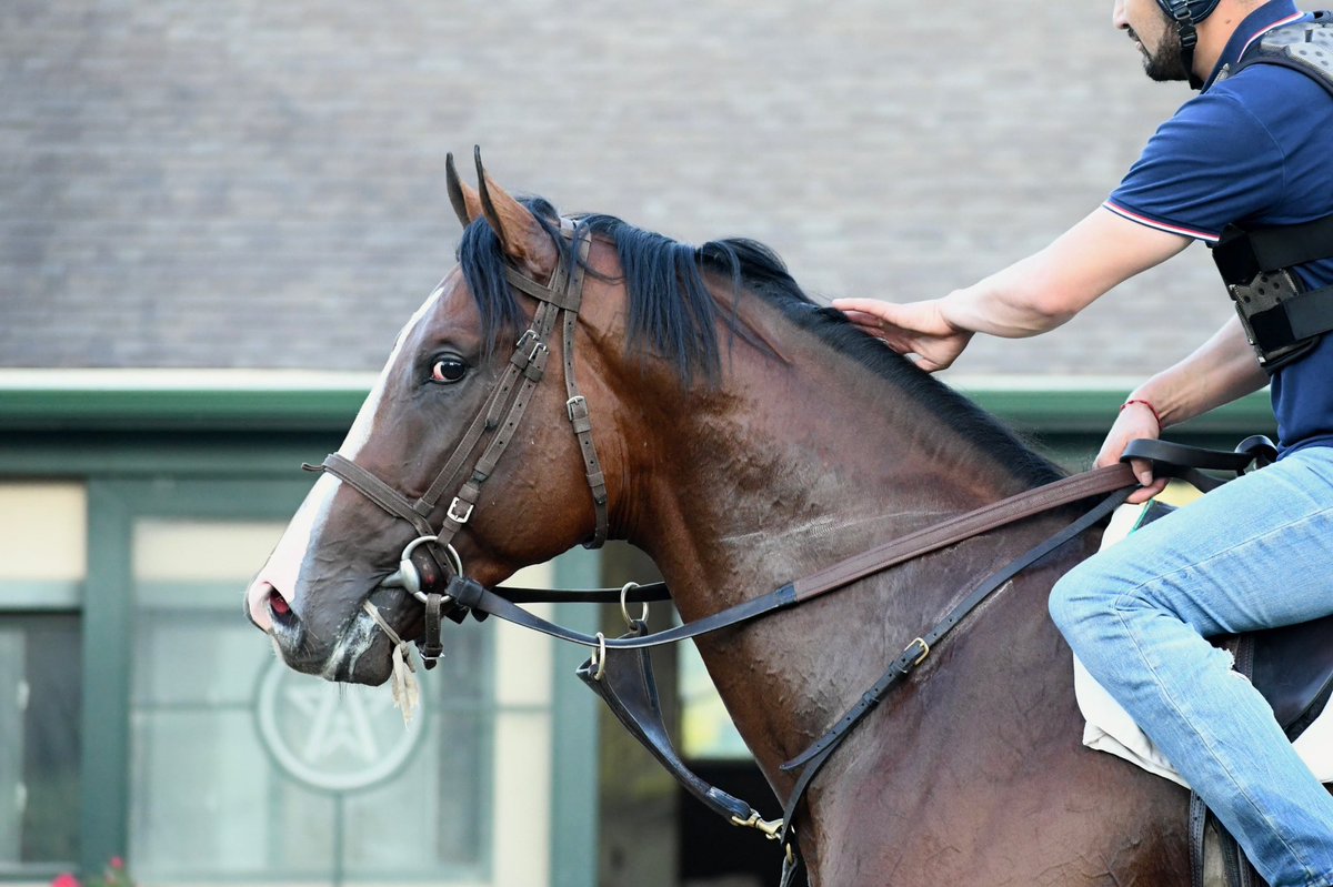 LNJ Foxwoods (@lnjfoxwoods) on Twitter photo ๐คดROTHKO๐๐ <a href="/WinStarFarm/">WinStar Farm</a>
Always the most handsome. Fingers crossed this time around
<a href="/bradcoxracing/">Brad H. Cox Racing</a> ๐ผ๏ธ ๐คดROTHKO๐๐ <a href="/WinStarFarm/">WinStar Farm</a>
Always the most handsome. Fingers crossed this time around
<a href="/bradcoxracing/">Brad H. Cox Racing</a> ๐ผ๏ธ