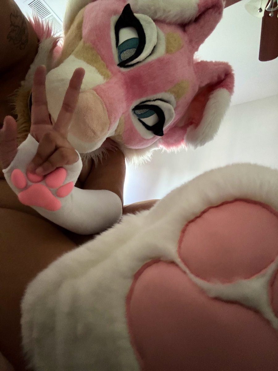 puppyinpiink's tweet image. bean bean bean bean