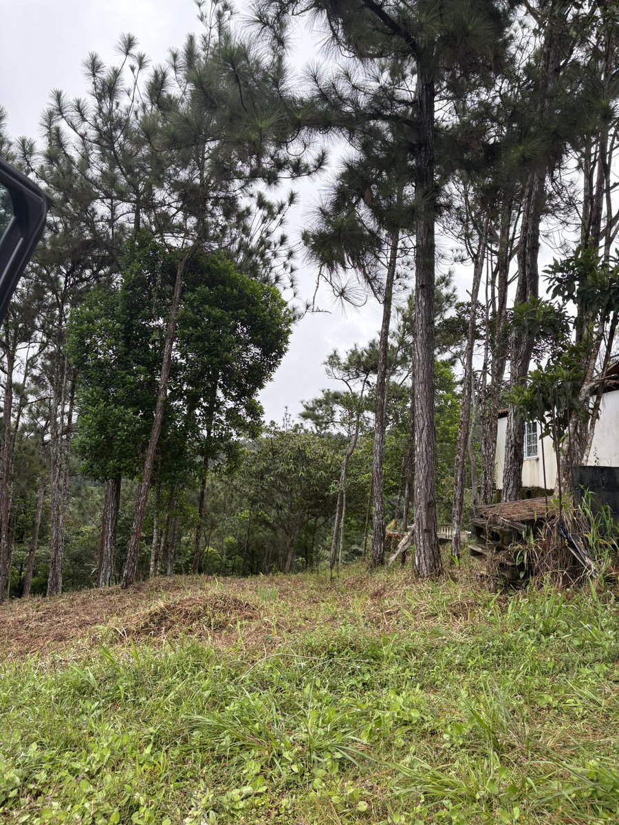 GGOLDGR's tweet image. Trades this week July 18 - 25.

Total income +$ 1,605

When I get bored I just sell some options