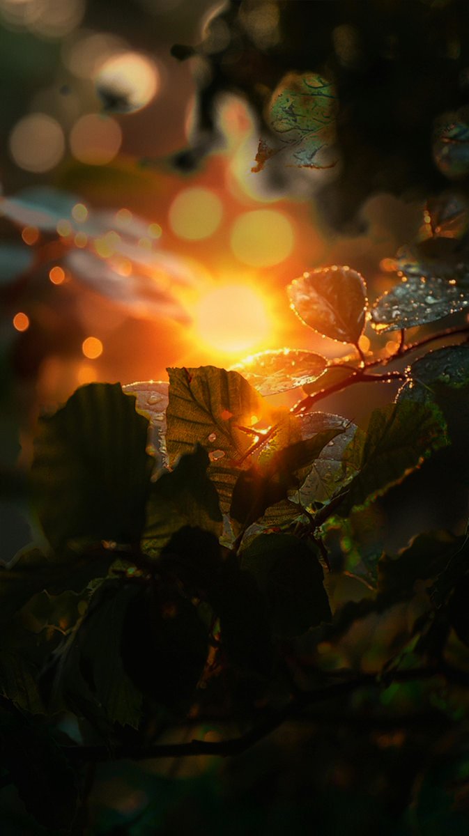 encoder_isr's tweet image. 🩸 Âkân zamân; zamânın kânlı çığlığı, tâzelenir içinde o kızıl yârânın billûr çizgisiyle.. 🧬 🌱
..
🪶 ~ ⎈ İşte o yıl..
Binlerce fidânım yeşerdi,
Alâ-âlârenk hâresiyle.. ◕
—エンコーダ 🕯 🧙♂️
..
💧 nagare-yuku-jikan (流れゆく時間)…