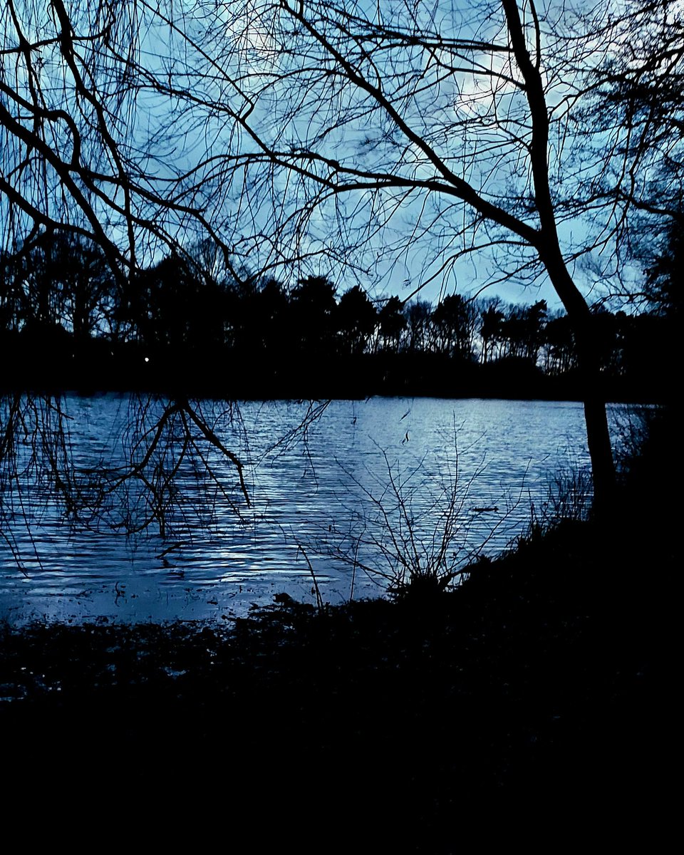 chriz31_07's tweet image. The night peels away its quiet skin,
until the day beneath can breathe.
Change speaks in whispers,
carrying the dust of yesterday.
Transformation opens doors
we never saw in the dark.
#NightThoughts
#night
Gute Nacht ✨️