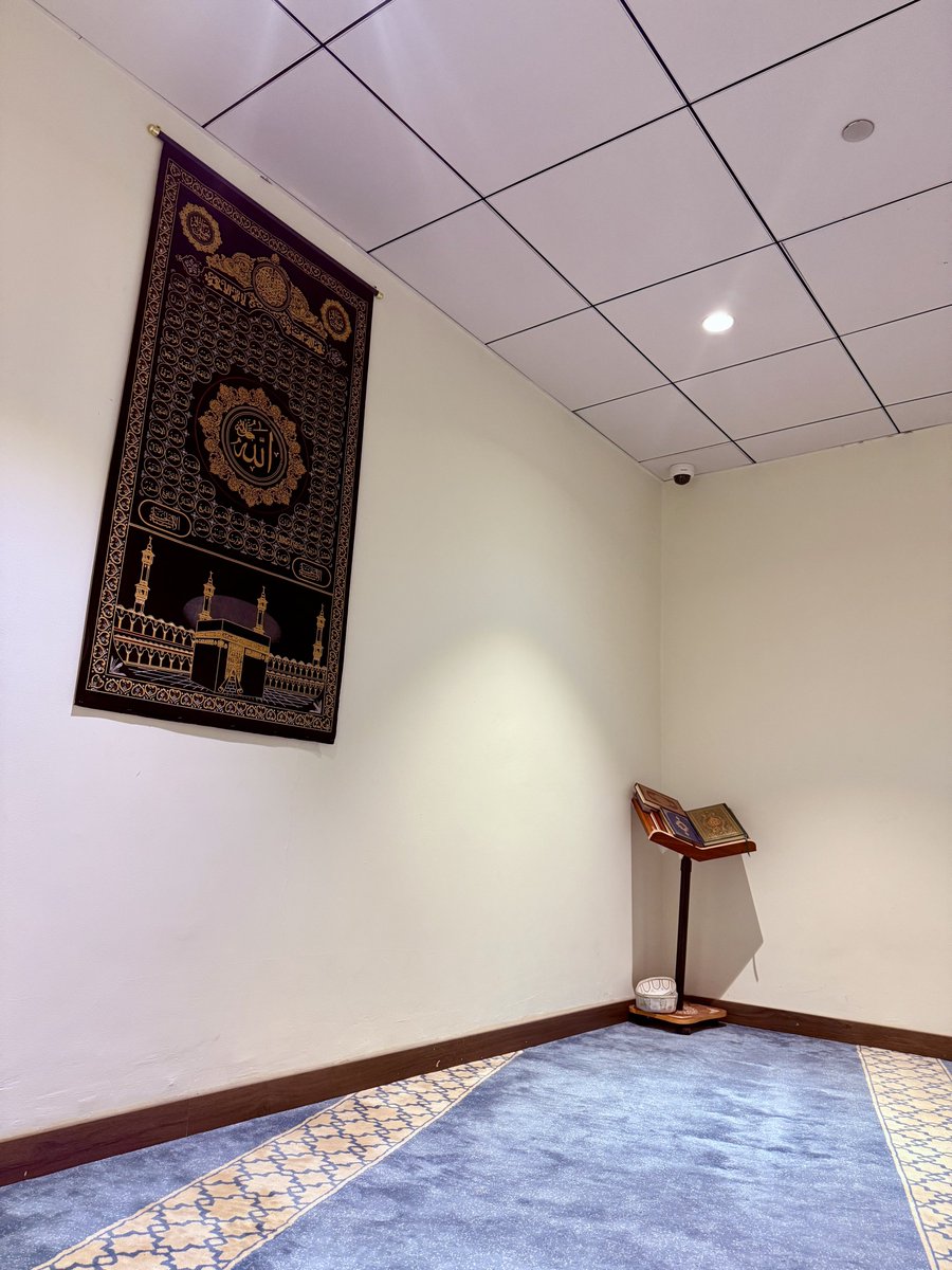 zeChedli's tweet image. Quand je regarde le monde autour de moi, je me demande comment on en est arrivé à faire passer les musulmans pour des ennemis, à instiller la peur envers ma communauté alors que l’islam est une religion magnifique, fondée sur la paix, la bienveillance et le respect. Je ressens…