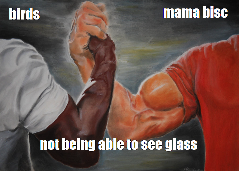 BiscuittheBisc's tweet image. Sometimes the little things are the things that make you the happiest
Like my mum becoming a meme
I like this
