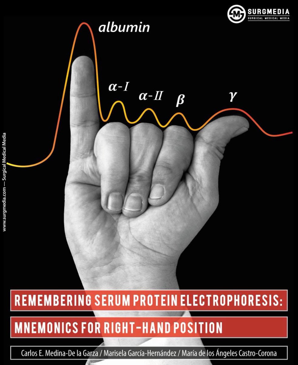 How to remember serum protein electrophoresis ✋🧠