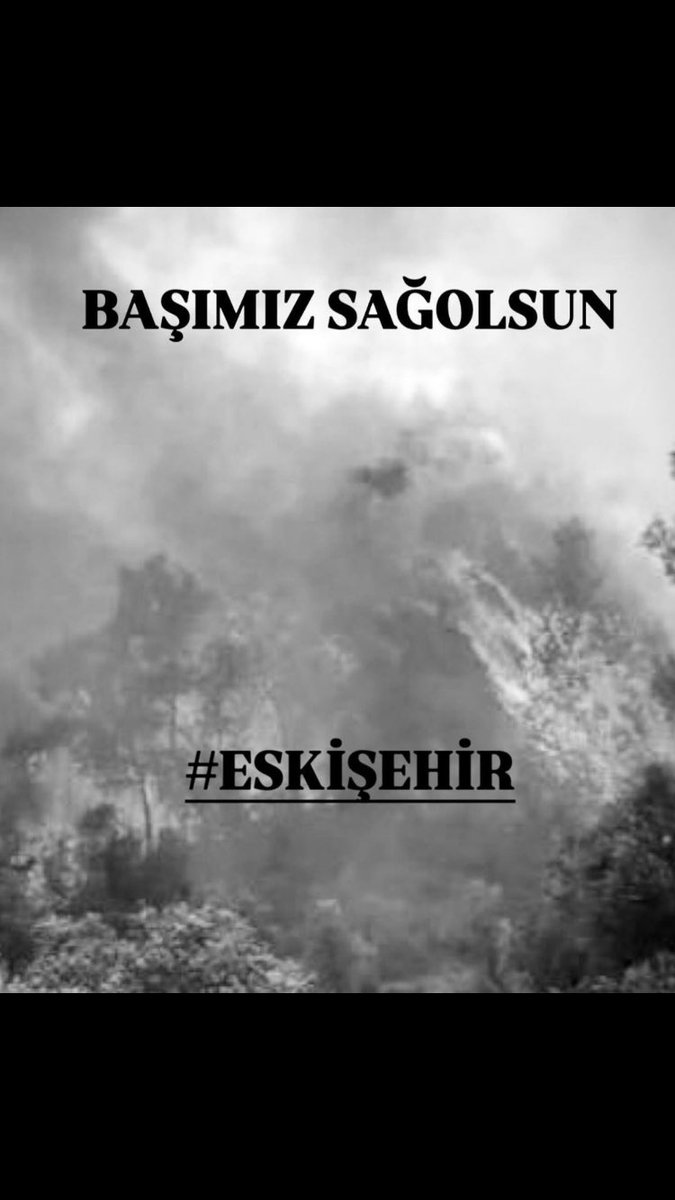 Lanet olsun, yeter artık. Ormanlar, içindeki hayvanlar, yetmedi koca yürekli kahramanları kaybediyoruz. Gerçekten yeter, yeter artık 😡#Eskişehir