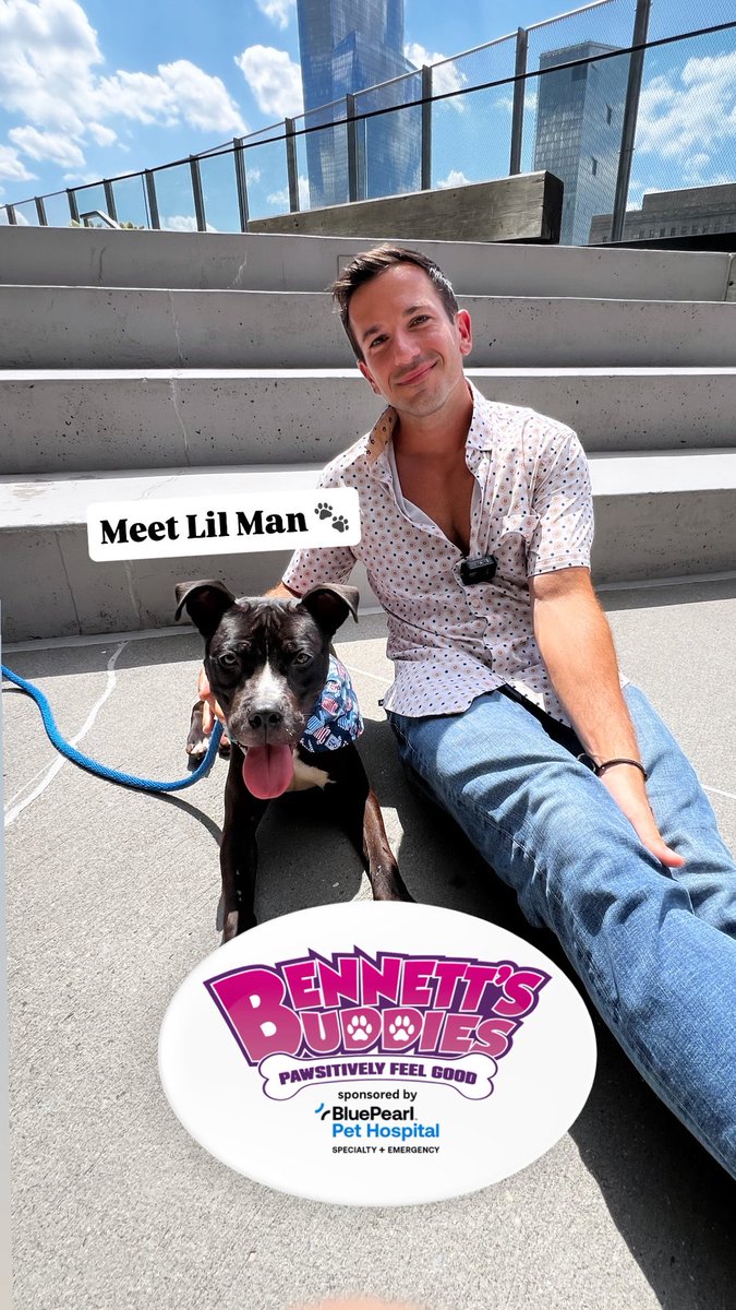 new965philly's tweet image. This week on #BennettsBuddies with the @PSPCA #sponsored by @bluepearlvet, meet Lil Man! 🥹🐾
This pup is full of charm and curiosity, and he absolutely loves toys! He’s open to meeting kids, other dogs, and YOU! Stop by the PSPCA any day between 12-6:30 PM to meet him. ❤️