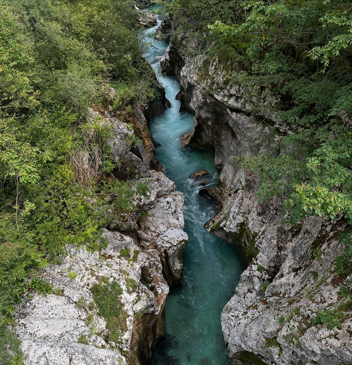 Maria Fadiman (@mariafadiman) on Twitter photo The Soca river winding through Slovenia until it reaches the Adriatic Sea, has a notable color. We got to swim in it! #natgeoexpeditions #onassignment #natgeoexplorer @natgeoexpeditions <a href="/insidenatgeo/">National Geographic Society</a> #sočariver #sloveniaoutdoor The Soca river winding through Slovenia until it reaches the Adriatic Sea, has a notable color. We got to swim in it! #natgeoexpeditions #onassignment #natgeoexplorer @natgeoexpeditions <a href="/insidenatgeo/">National Geographic Society</a> #sočariver #sloveniaoutdoor