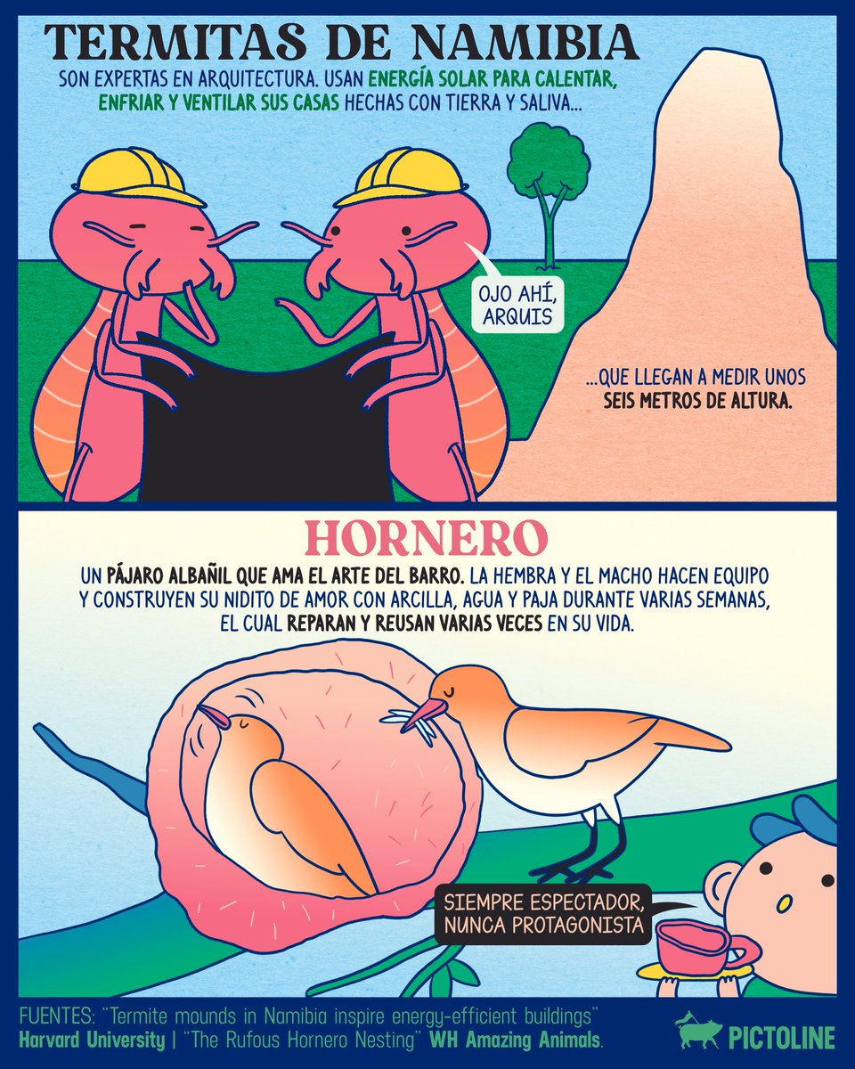 pictoline's tweet image. 🪄🎻 ¿Cómo que existe un cangrejo violinista y un pulpo actor? 🐙🎭 El mundo animal rifándose con arte y tú sin poder arreglar tu pieza de cerámica 😅

#arte #animales #mundoanimal #datoscuriosos #curiosidades #animalartist #pictoline