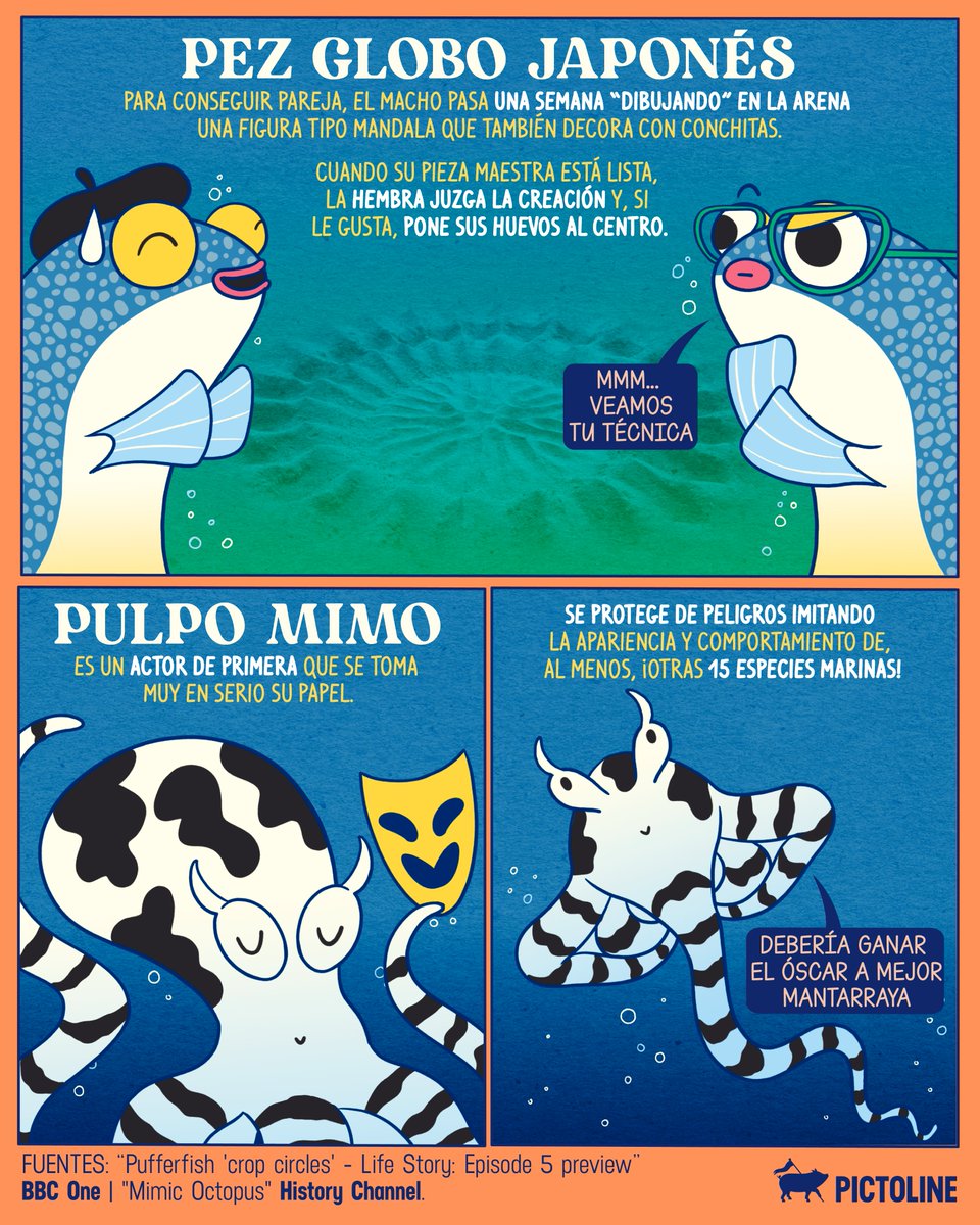 pictoline's tweet image. 🪄🎻 ¿Cómo que existe un cangrejo violinista y un pulpo actor? 🐙🎭 El mundo animal rifándose con arte y tú sin poder arreglar tu pieza de cerámica 😅

#arte #animales #mundoanimal #datoscuriosos #curiosidades #animalartist #pictoline