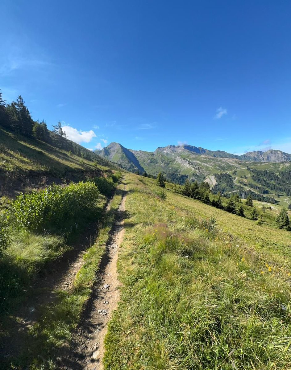 I used to RUN to God when I had issues  😂. (the thing has pressed my neck.)

But that’s the pattern of a “Desperado” Christian or believer. 

It is the biggest symptom of a believer yet to be PLANTED.

Then I got planted! “No more to and fro”, Ijele style prayers or fellowship.