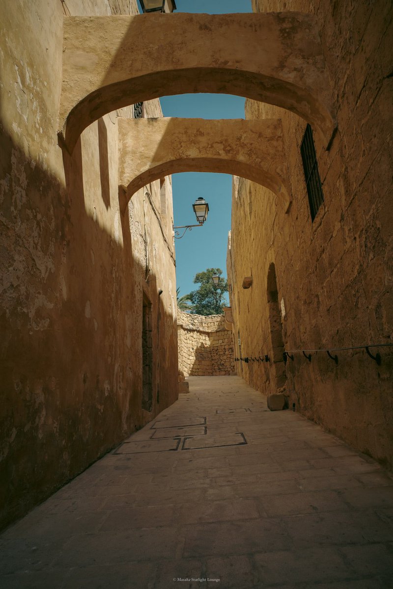Masa8a's tweet image. 