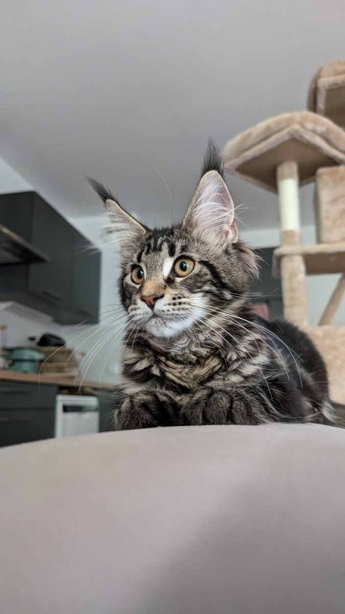 ImVertige tweet media