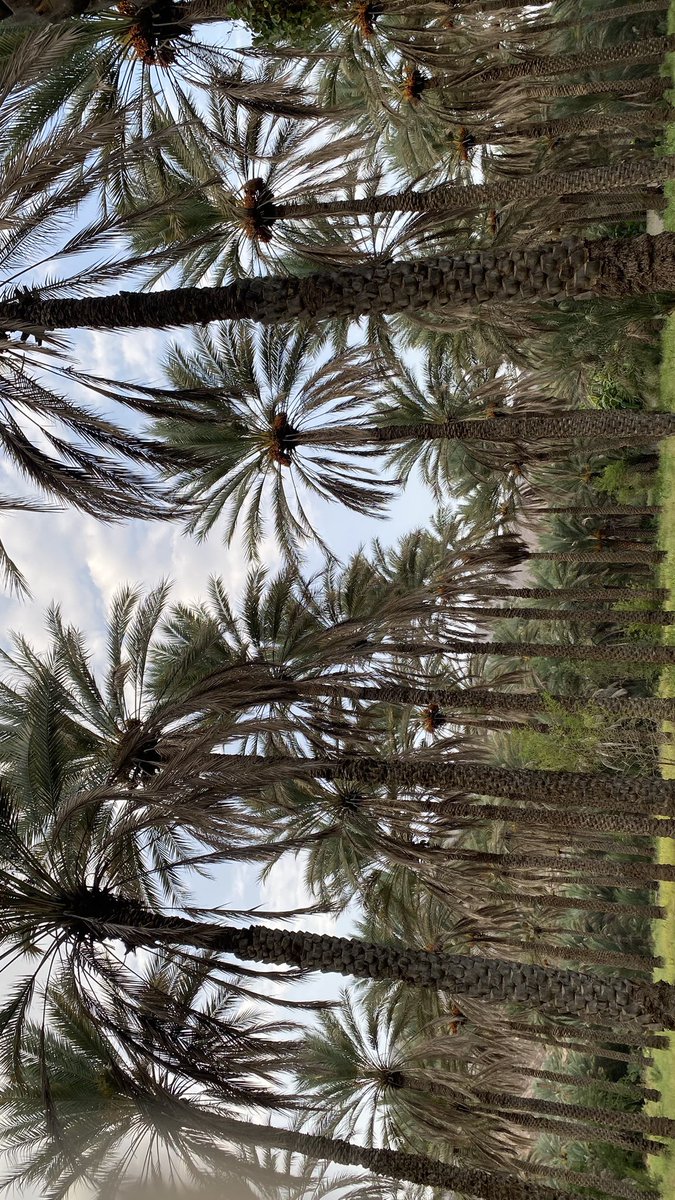 44ive's tweet image. 