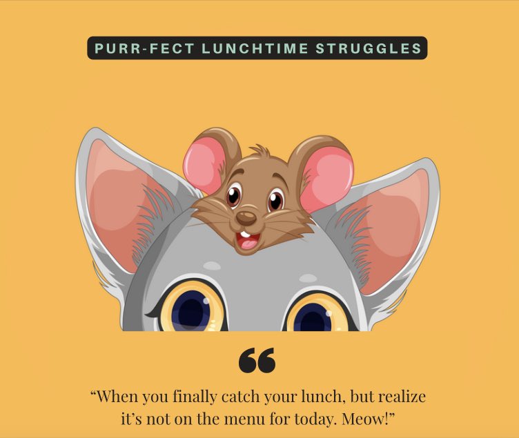 RCaudill3886's tweet photo. $CNR #CATNRAT #memecoin #MemecoinSeason #TRXArmy https://t.co/h4apyIdZI8