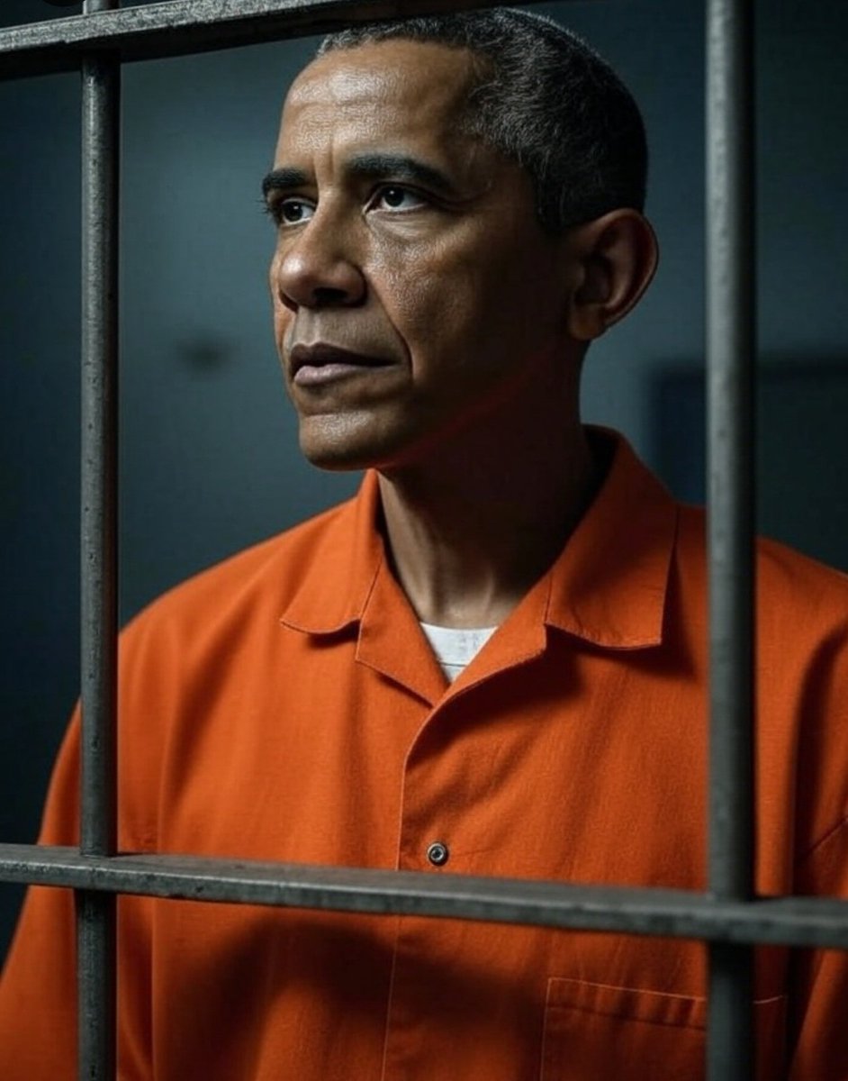 VEventHorizonV's tweet image. Our nation cannot survive if we allow people like Obama to do what they've done. Obama must give the prison for a very very long time.