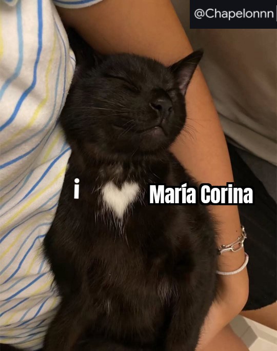 Chapelon (@chapelonnn) on Twitter photo 