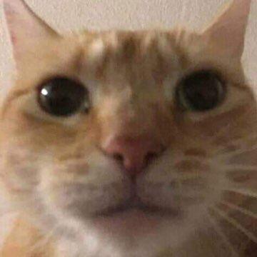 yes