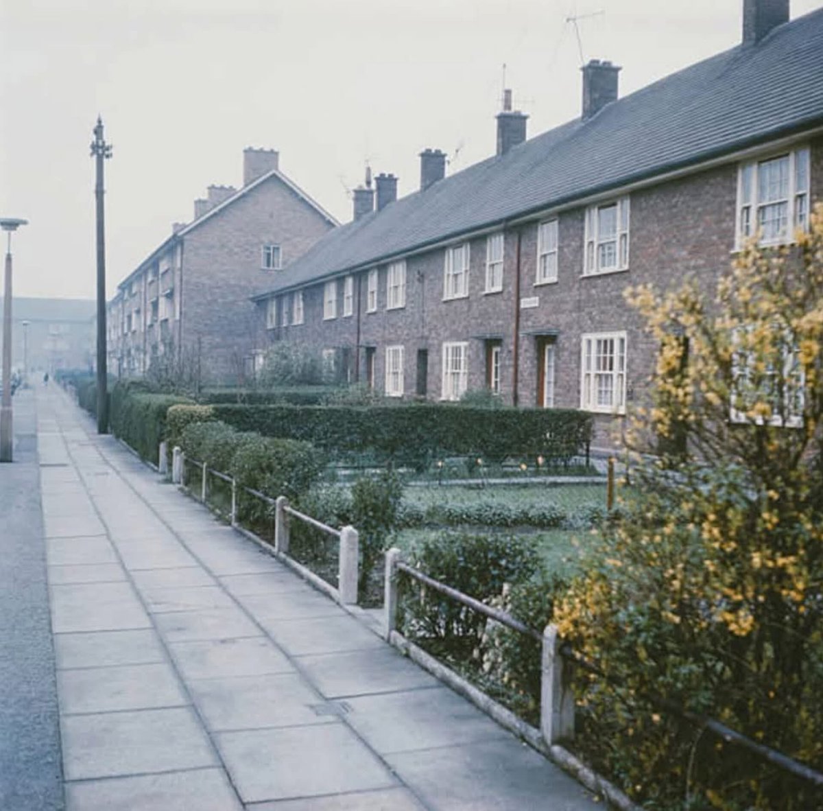 Eggplant_Elon's tweet image. This is the UK I grew up in, when everyone took pride in their gardens, the streets were clean, there wasn't a pothole in sight and neighbours who said hello. I miss it.