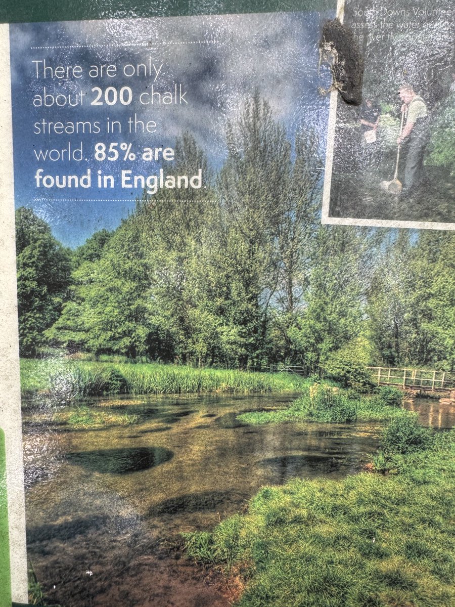johnmilbank3's tweet image. Chalk downland is almost unique to England. An incredible fact.