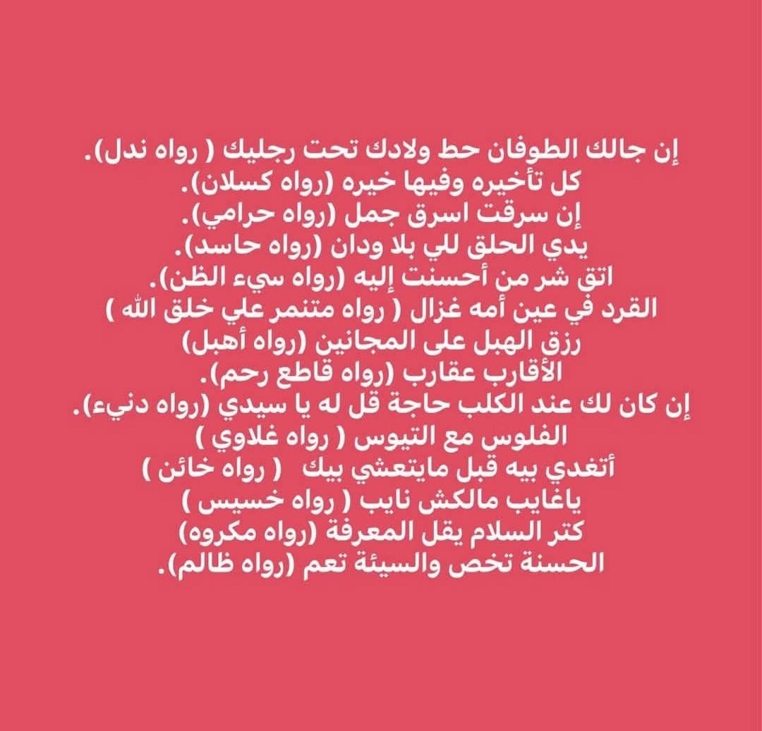 Adel Elsamaty (@aelsamaty75562) on Twitter photo 