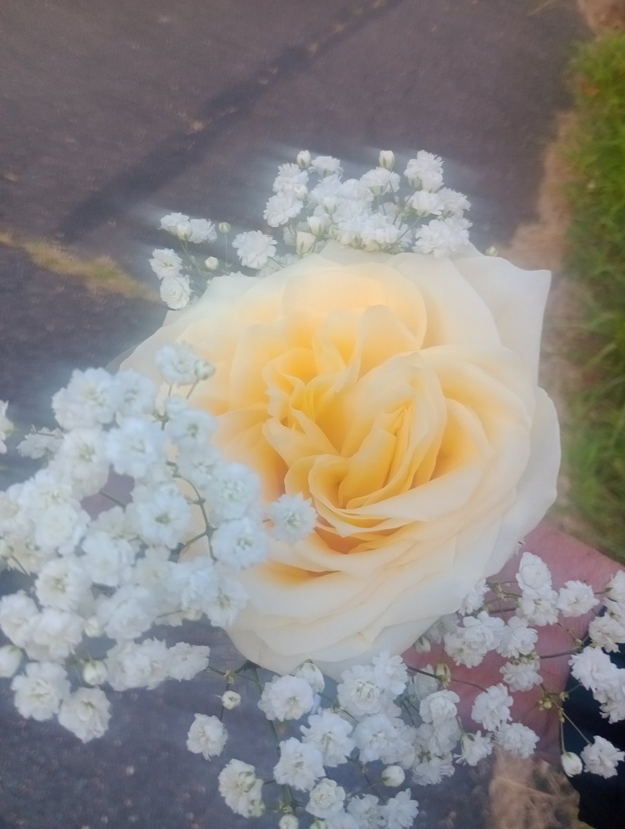 My yearly visit to my dad's gravesight.
