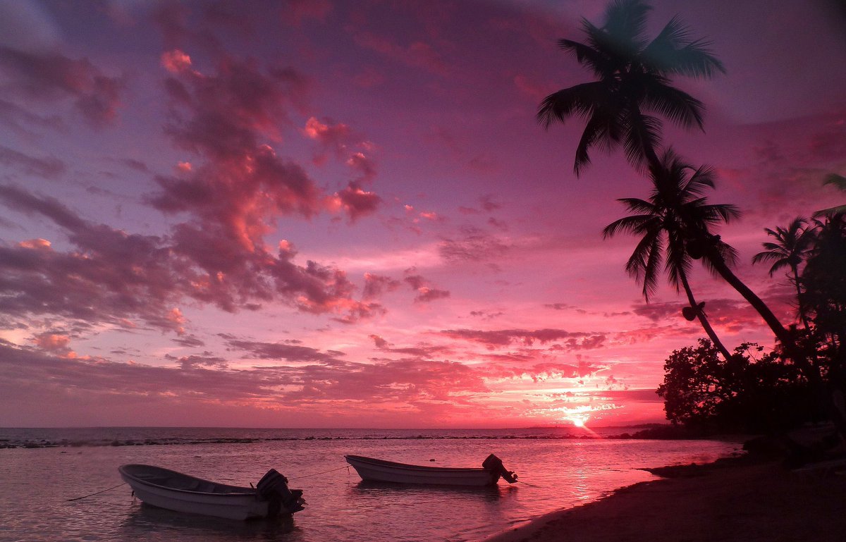 Djivan Minassian tweet media