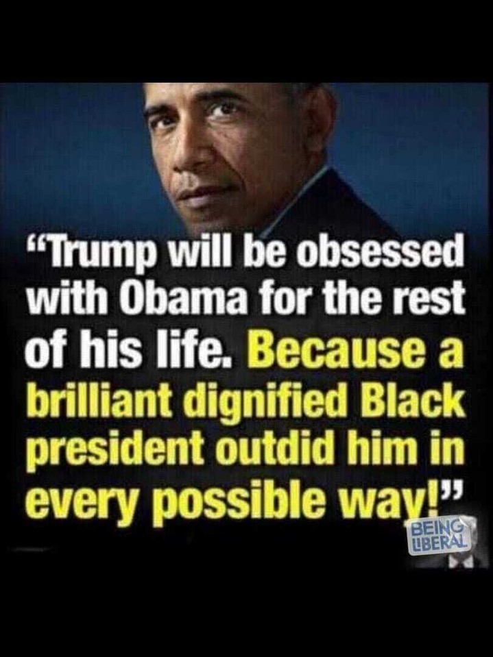 Danphillipsresi's tweet image. Donnie can't handle that Barack is better than him in every way.🤣🍄😉