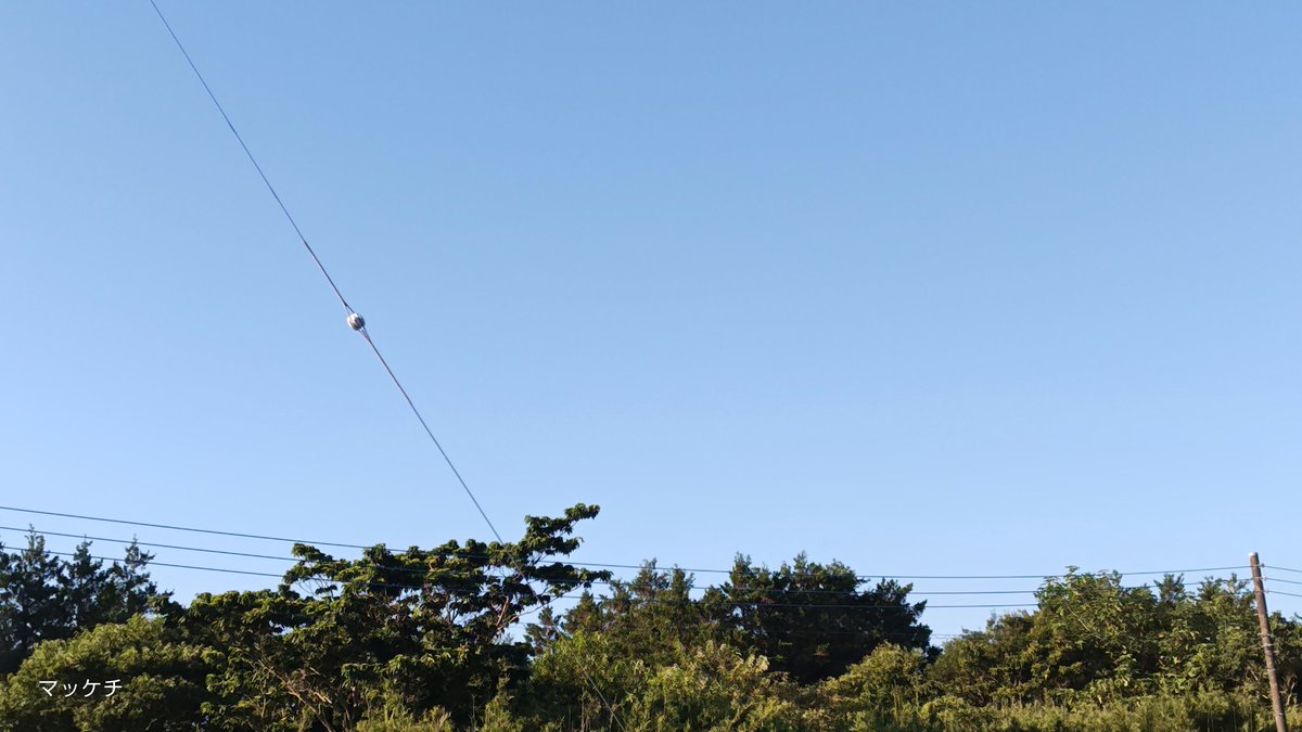 makomofu5170's tweet image. おはようございます
今朝も雲一つない快晴で
今日も猛暑になりますね
北海道で40℃予報が出るなんて
温暖化恐ろしいです
夏休みは避暑で北海道に行ってたのが懐かしいです
今日も宜しくお願い致します
良い一日をお過ごし下さい🎵