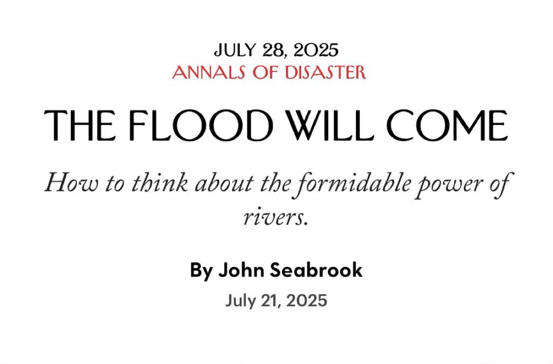 binx_bolling_'s tweet image. Sea-Brook on Rivers just too on the nose