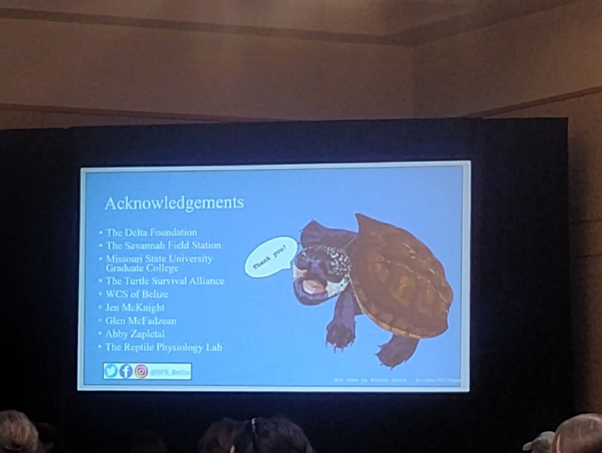 Savanna Field Station 🇧🇿 tweet media