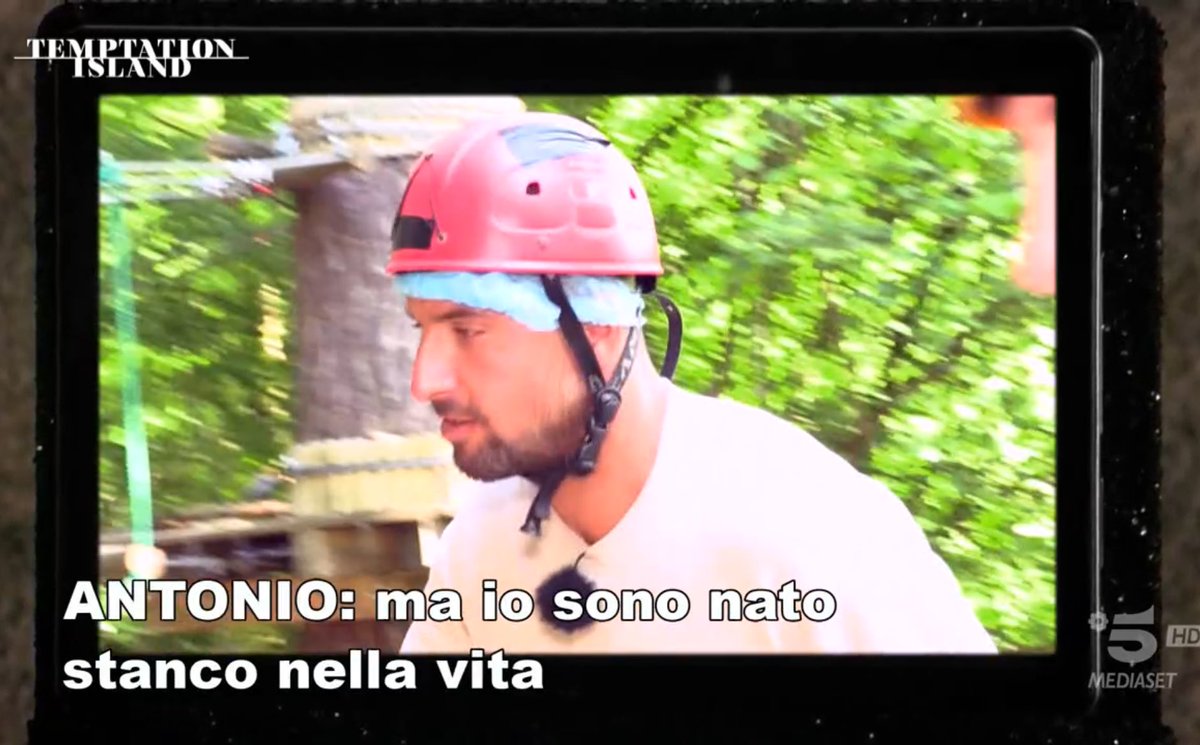 SURREALE tweet media