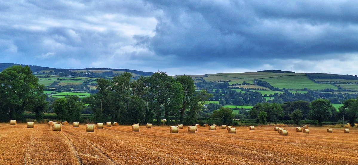 patrickkenealy's tweet image. A nice afternoon cycle around Dromana and Colligan, Co Waterford. @AimsirTG4 @ancienteastIRL @barrabest @deric_tv @DiscoverIreland @discoverirl @Failte_Ireland @welovewaterford @VisitWaterford @WaterfordANDme @WaterfordPocket @WaterfordGrnWay @GoToIreland @DungarvanTIO