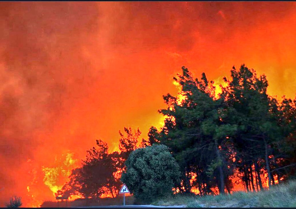 Sellere, Depremlere, Yangınlara,
Doğal Afetlere karşı tedbirsiz olmakla birlikte müdahalelerimiz ne yazık ki yetersiz. #Bilecik #Eskişehir #İzmir #Sakarya memleket cayır cayır yandı ve hala yanıyor. Geleceğimiz yanıyor, İklim Kanunu safsatası karbon ayak izi adım adım yükleniyor.