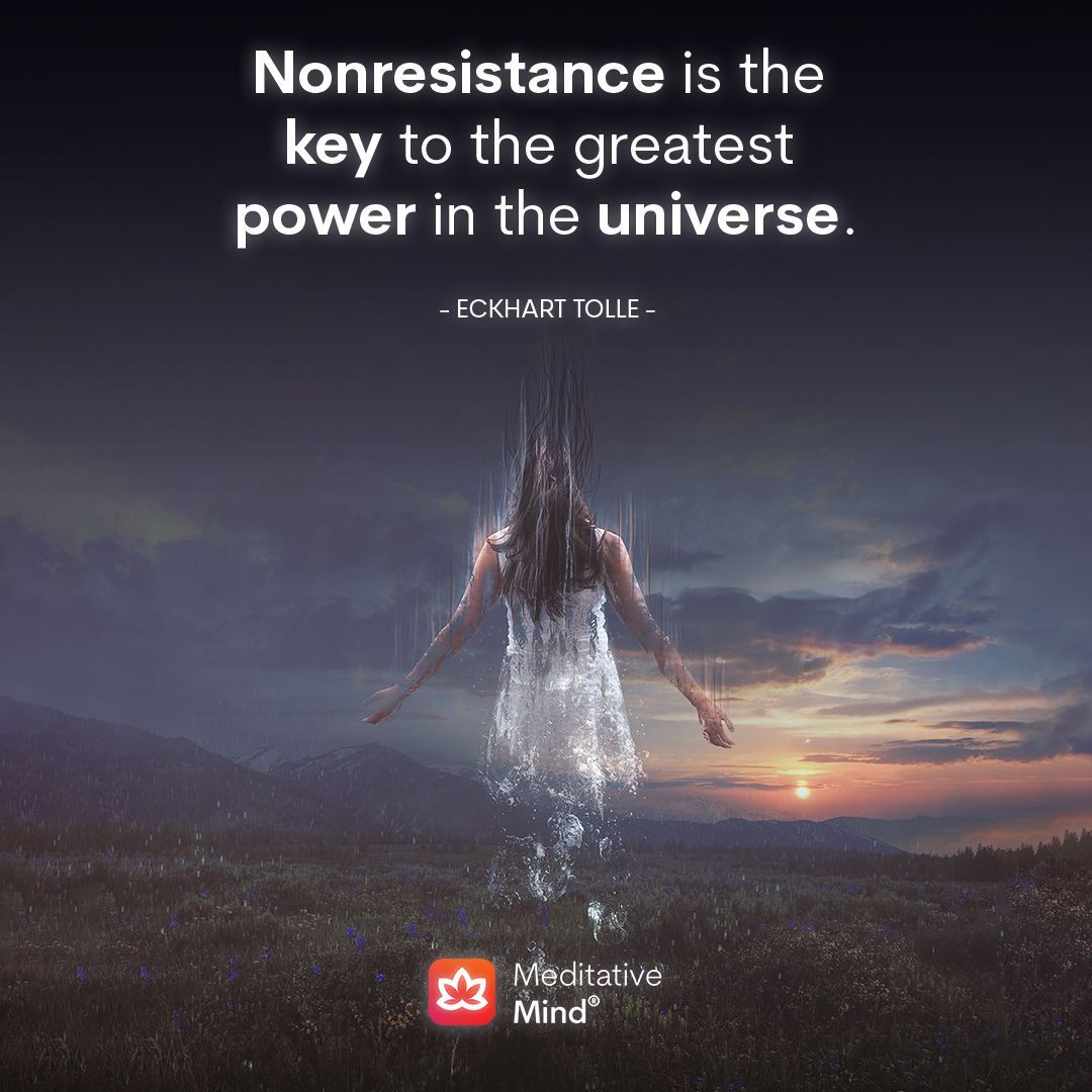 Meditative Mind tweet media