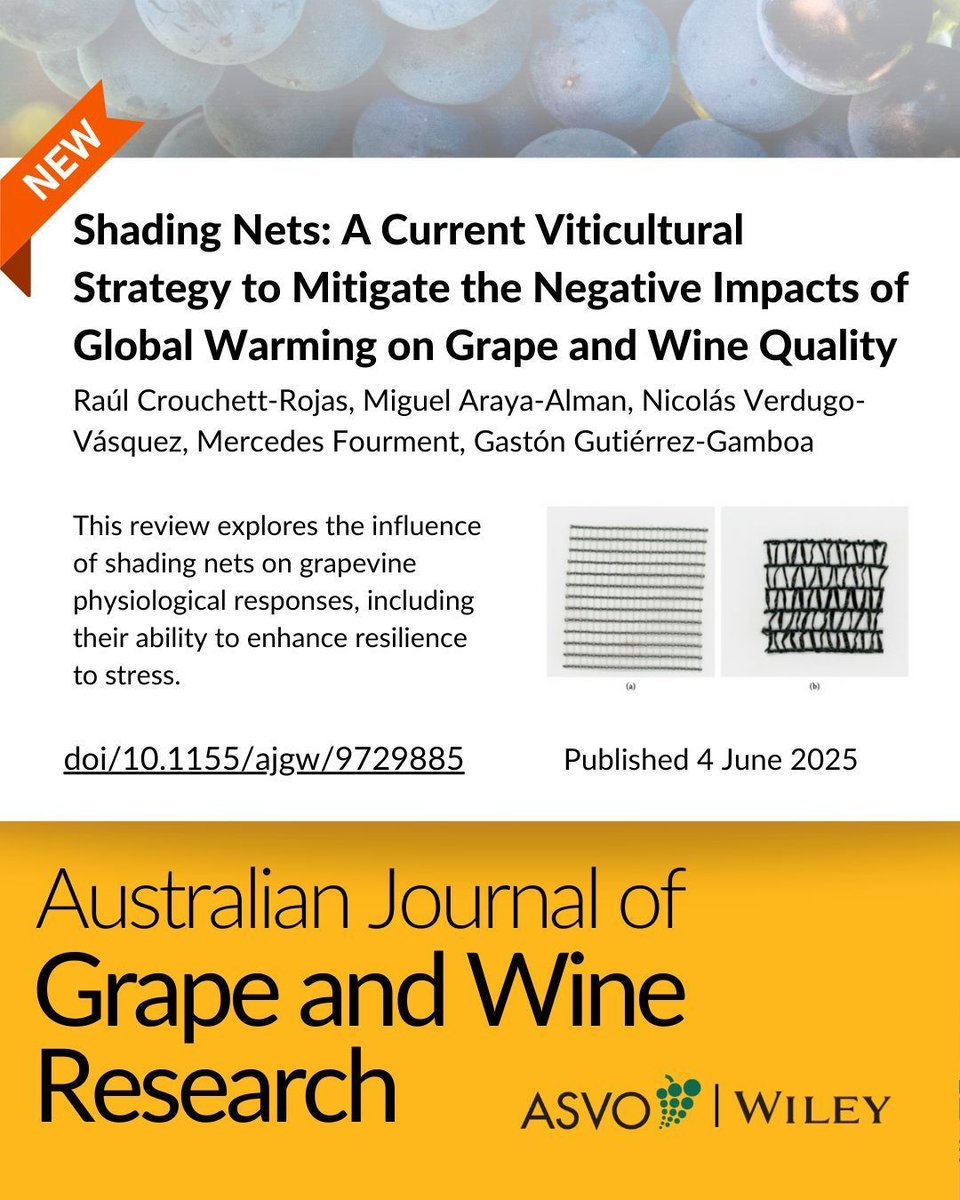 This review explores the influence of shading nets on grapevine physiological responses, including their ability to enhance resilience to stress. It explores the effect that different kinds of nets have on phenolic compounds in grape and wine. buff.ly/4HSAZUg