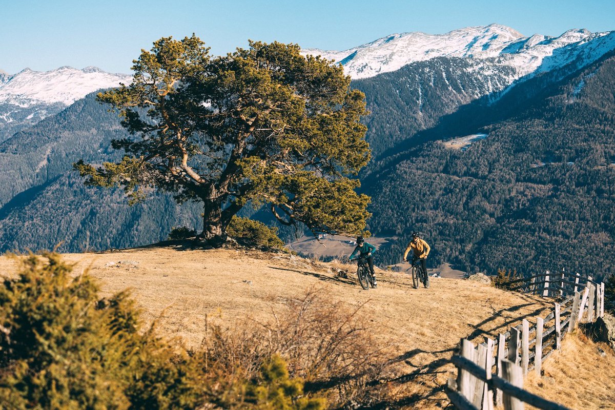 ebikesinternatl's tweet image. TQ Group Announces Software Updates: More Control and Longer Battery Life #ebikes #eMTB #emobility #tech tinyurl.com/m3pnd4j7