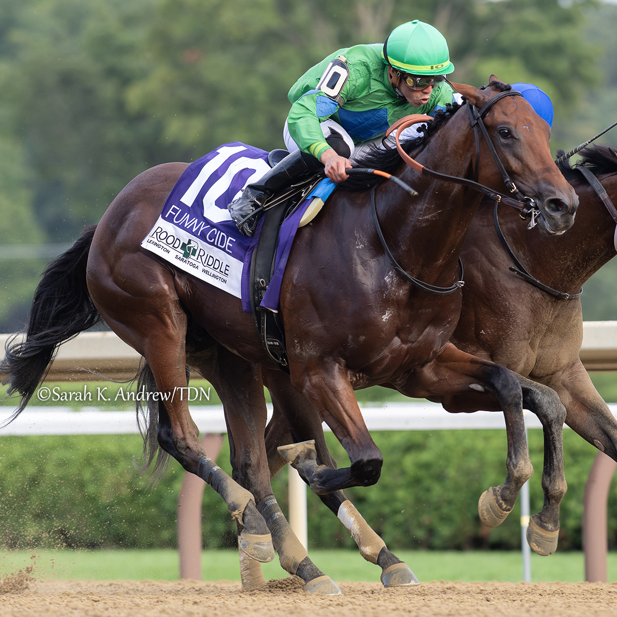 theTDN's tweet image. ✨ Mo Plex (Complexity) is the lone New York-bred in the compact yet competitive five horse-field set for Saturday's GII Jim Dandy S. at Saratoga. Though it will be the colt's biggest test yet, his connections are confident that the multiple graded stakes winner is up for the…