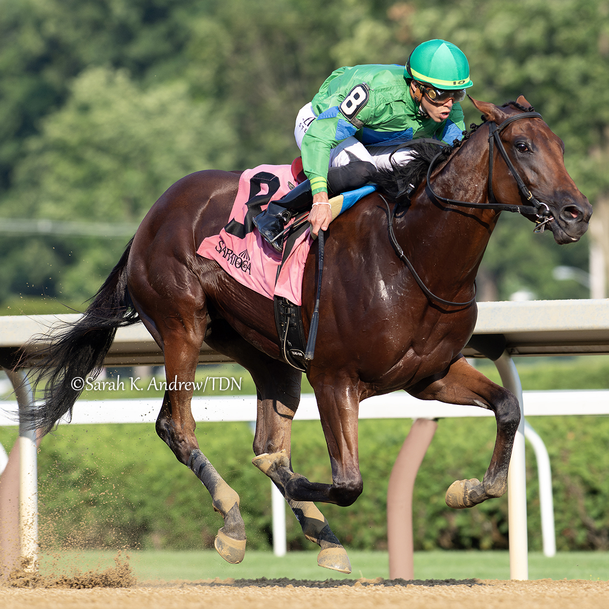 theTDN's tweet image. ✨ Mo Plex (Complexity) is the lone New York-bred in the compact yet competitive five horse-field set for Saturday's GII Jim Dandy S. at Saratoga. Though it will be the colt's biggest test yet, his connections are confident that the multiple graded stakes winner is up for the…