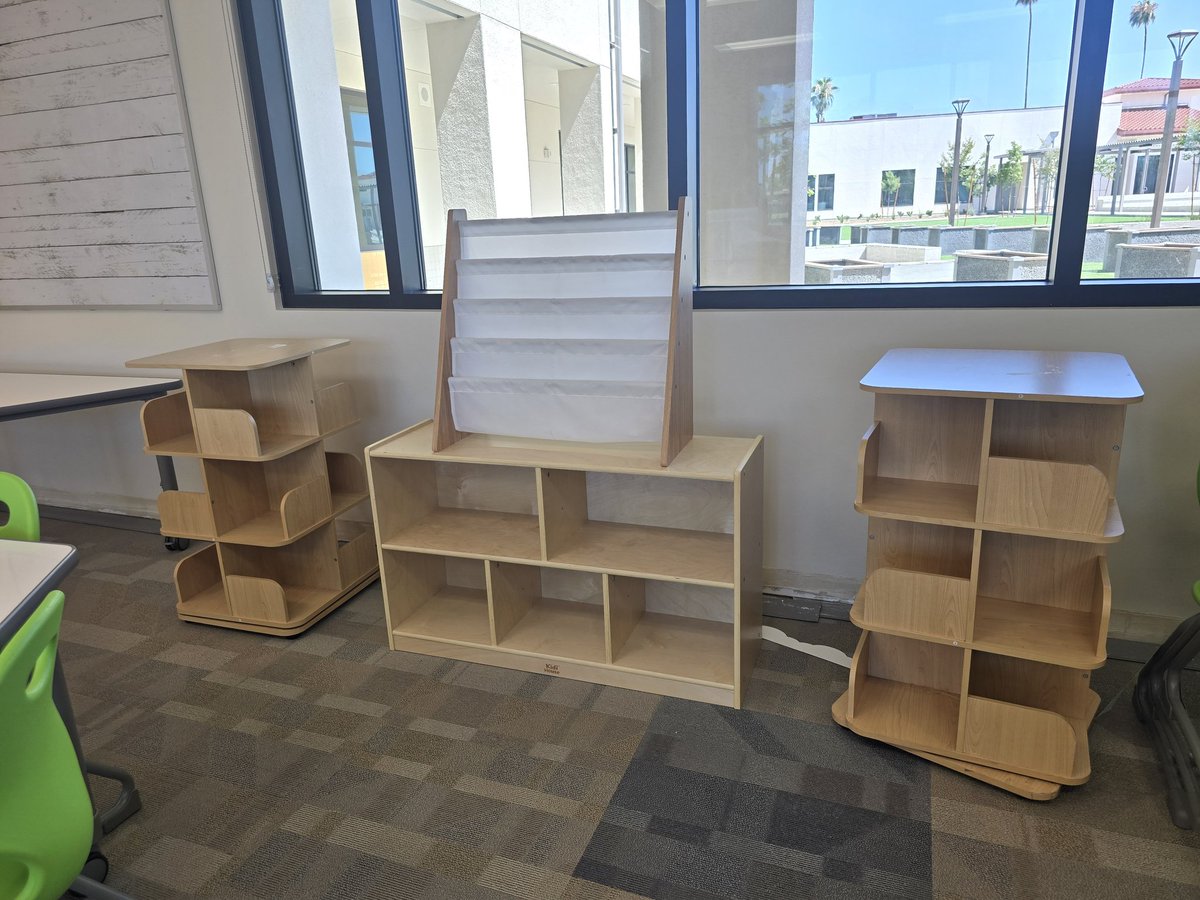 After some going back and forth, I am thinking of this rug and light for my library.  The picture book stand will be moved to a different location. Thoughts?