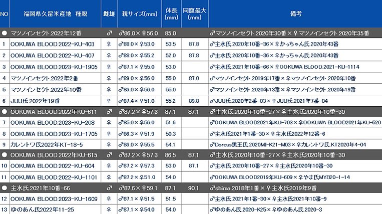 dorcuschone1067's tweet image. 24年度ブリード (13ライン)
4番(KLB)計測前個体以外全て更新↓
ookuwablood.com/2024%e5%b9%b4%…
結果♂60頭で
・完品37頭(幼虫.B品.★除く)
・86mmup 10頭
・85mmup 20頭
・83mmup 33頭
特大はお預けも、綺麗な個体の多い年でした。このあと異次元久留米ブリーダーの羽化報告が控えているので早々に。